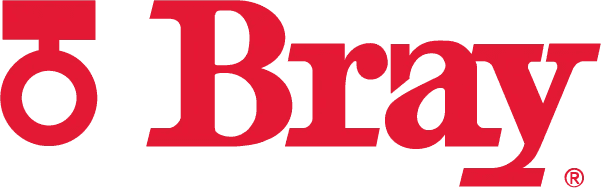 Bray International